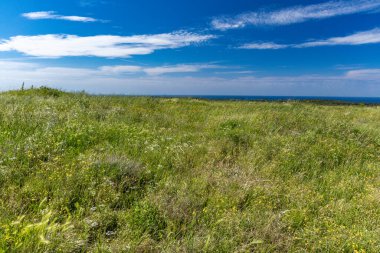 Bronz Çağı 'ndan kalma Monkodonja yerleşimi, Hırvatistan' daki Rovinj arkeoloji sahası 