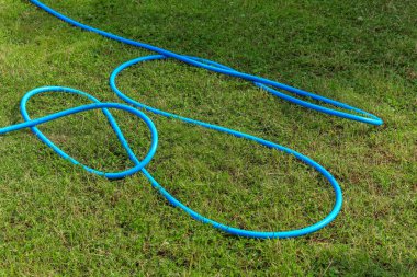 Bahçedeki çimleri sulamak için mavi bahçe hortumu.