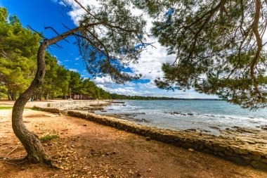 Rovinj çevresindeki Hırvat kıyılarının manzarası, kayalık plajlar, gök mavisi Adriyatik Denizi İstria Hırvatistan