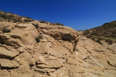 Hırvatistan 'ın Rab Adası' nda yaz