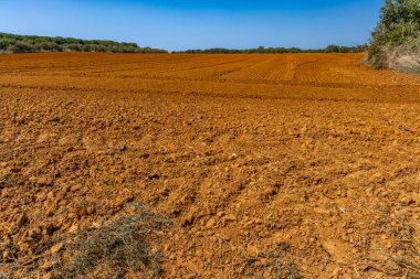 Sıcak yaz, çiftçilerde kuru kırmızı toprak Hırvatistan 'da doğal afet Istria Pula Kamenja