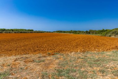 Sıcak yaz, çiftçilerde kuru kırmızı toprak Hırvatistan 'da doğal afet Istria Pula Kamenja
