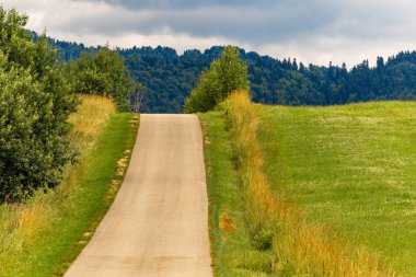 Tatra Dağları Panorama Velo Czorsztyn bisiklet rotası Czorszty göl turistik merkezi çevresinde