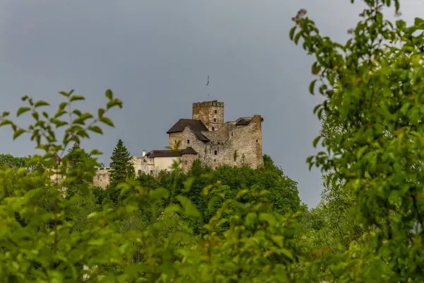 stock image Ruins of the castle in Nidzica, view of the panorama of Lake Czorsztyn Polan