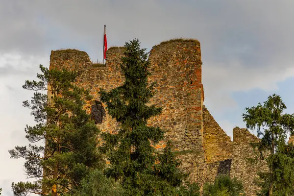 stock image Restored ruins of the castle in Czorsztyn by the lake, tourist attraction, Instagram place in Poland