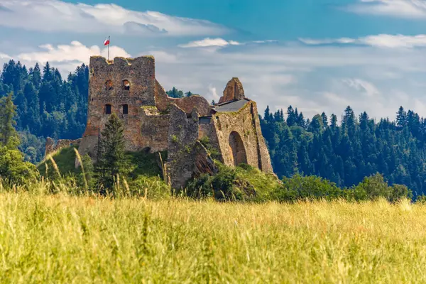 Czorsztyn 'de göl kenarındaki şatonun kalıntıları, turistik eğlence merkezi, Polonya' daki Instagram merkezi.