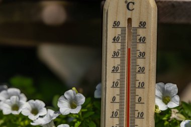 Bir adam bahçede elinde ahşap bir termometre tutuyor. Bu da çok yüksek sıcaklığa işaret ediyor. Isıya karşı koruma.