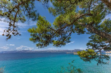 Hırvatistan 'ın Adriyatik kıyısı mavi berrak su Peljesac yarımadası Trpan