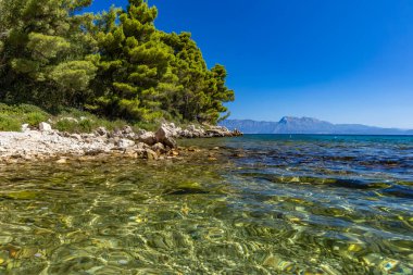 Peljesac Yarımadası 'nda Adriyatik Denizi' nde palmiye ağaçları olan vahşi kayalık plaj Luka Plajı Croati