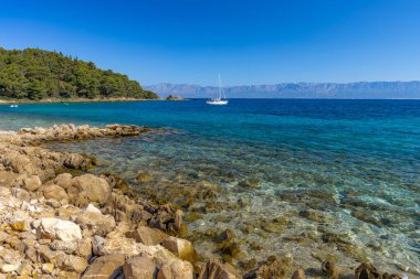 Wild rocky beach with palm trees on the Adriatic Sea on the Peljesac Peninsula Luka Beach Croati clipart