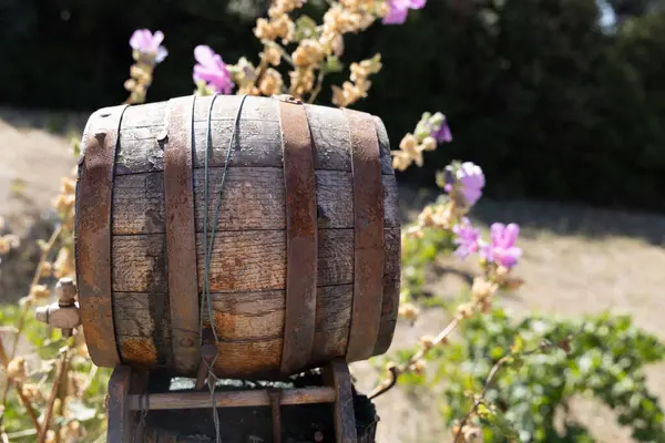 stock image A wooden barrel for wine produced from grapes in Croatia on the Peljesac Peninsula