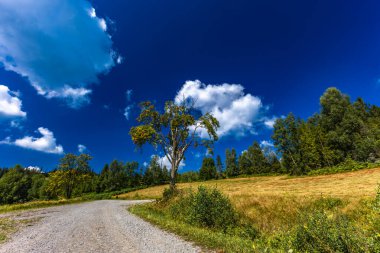 Beskids 'taki bisiklet yolları, dağ manzarası, yüksek ağaçlar, dik dağ tırmanışları.
