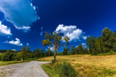 Beskids 'taki bisiklet yolları, dağ manzarası, yüksek ağaçlar, dik dağ tırmanışları.