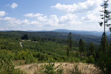 Beskids 'taki bisiklet yolları, dağ manzarası, yüksek ağaçlar, dik dağ tırmanışları.