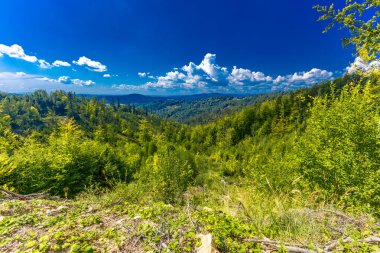 Beskids 'taki bisiklet yolları, dağ manzarası, yüksek ağaçlar, dik dağ tırmanışları.
