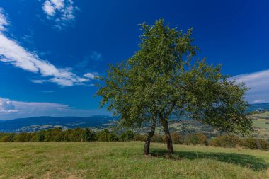 Ochodzita tepesinden Silesian Beskids dağlarının manzarası, Koniakow bölgesinin panoraması.