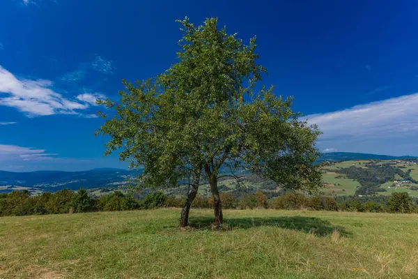 Ochodzita tepesinden Silesian Beskids dağlarının manzarası, Koniakow bölgesinin panoraması.