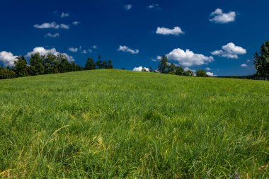 Silesian Beskids 'da bir çayırda çimleri biçmek, dağ manzarası