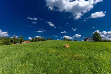 Silesian Beskids 'da bir çayırda çimleri biçmek, dağ manzarası