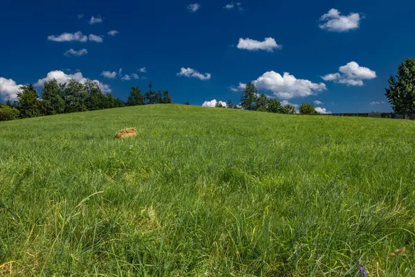 Stock image Mowed grass in a meadow in the Silesian Beskids, mountain panorama landscape