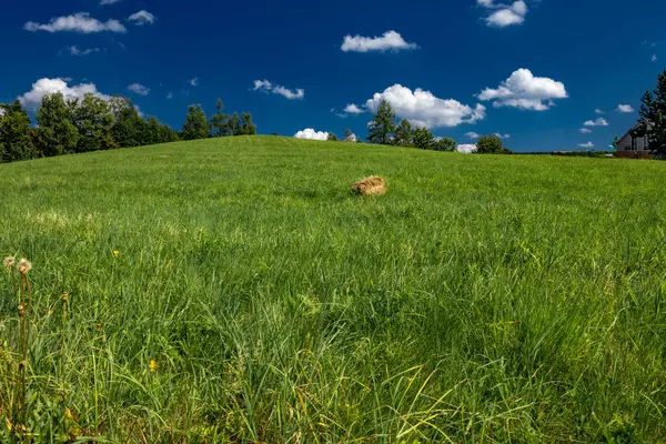 stock image Mowed grass in a meadow in the Silesian Beskids, mountain panorama landscape