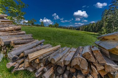 Dağlarda kesilen eski ağaçlar kış için yakıt hazırlıyor, evi odunla ısıtıyor.