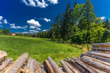 Dağlarda kesilen eski ağaçlar kış için yakıt hazırlıyor, evi odunla ısıtıyor.