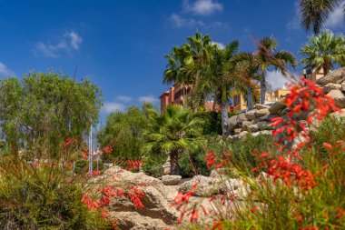 Atlantik kıyısındaki Kanarya Adaları 'ndaki villalar Costa Adeje' deki milyoner evler Playa del Duque kıyısındaki apartmanlar.