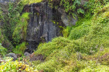 Tenerife 'nin kuzeyinde yer alan Los Realejos, Rambla de Castro, Playa de Castro, Atlantik Okyanusu' nda şelalesi olan bir plaj.