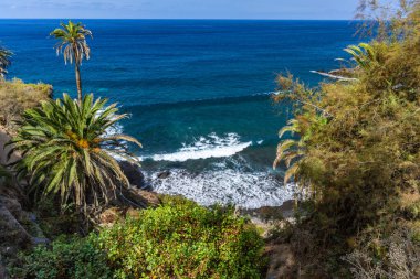 Tenerife 'nin kuzeyinde yer alan Los Realejos, Rambla de Castro, Playa de Castro, Atlantik Okyanusu' nda şelalesi olan bir plaj.