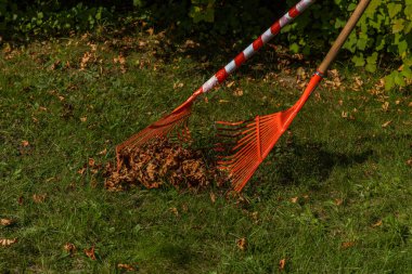 Bahçeyi düzenlemek, sonbahar ve baharda kuru kahverengi yaprakları tırmıklamak, arsayı tırmıklamak için kırmızı tırmıklar