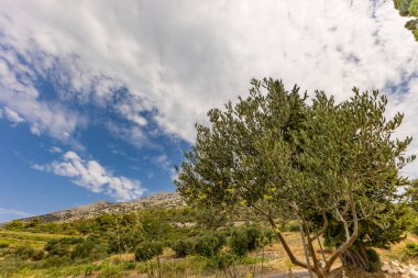 Meleklerin Hanımı 'nın manastırı ve kilisesi, ibadet yeri.