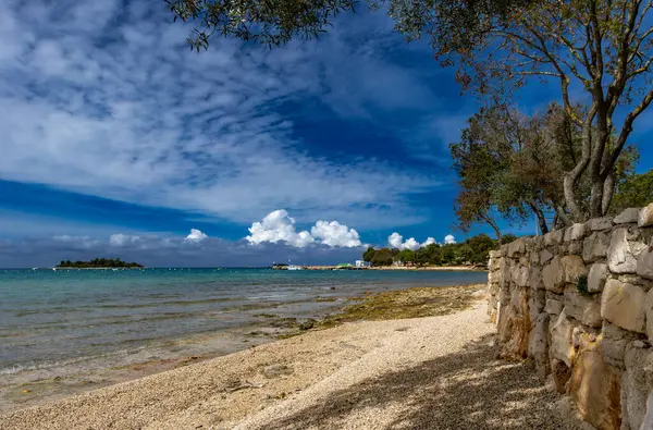 Kuzey Hırvatistan 'daki Rovinj kentinin yaz manzarası, yabani bitki örtüsü, gök mavisi su