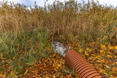 Göle kaçak atık, atık ve dışkı boşaltımı