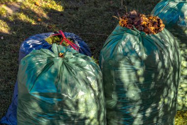 Sonbahar için bahçeyi düzenlemek, çöp torbasına yaprak toplamak ve arsadaki biyolojik atıkları temizlemek.