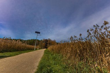 Landscape by the reservoir in Blachownia, a walk around the lake in autumn clipart