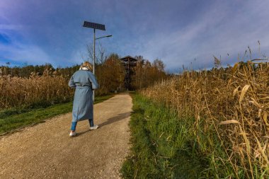 Landscape by the reservoir in Blachownia, a walk around the lake in autumn clipart