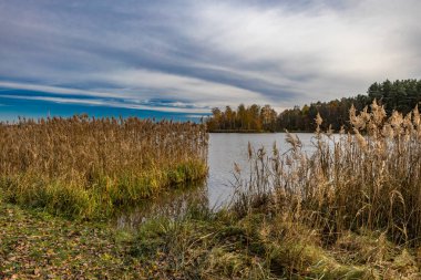 Landscape by the reservoir in Blachownia, a walk around the lake in autumn clipart