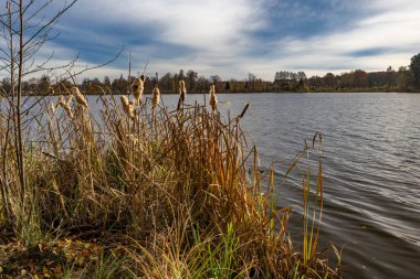 Landscape by the reservoir in Blachownia, a walk around the lake in autumn clipart