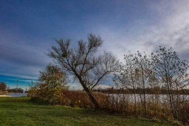 Landscape by the reservoir in Blachownia, a walk around the lake in autumn clipart