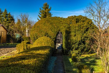Güzel bahar manzarası. Bahçesinde ahşap çitler ve yeşil çalılar var.