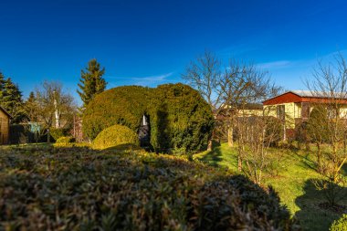 Güzel bir bahçe manzarası.