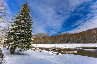 Festive Christmas tree in the snow by the river clipart