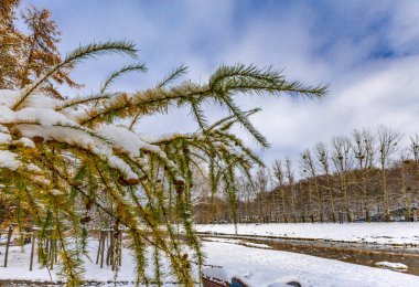 Winter in the mountains, a winter walk, landscape by the Vistula River in Ustron clipart