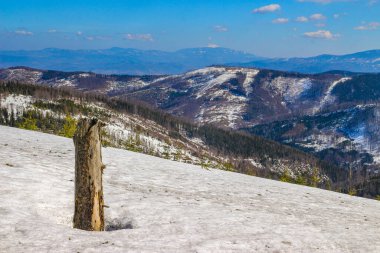 Malinowska Skala 'ya tırmanmak, ciyaklamak, dağlarda kar yağışı, kaygan rota, Polonya