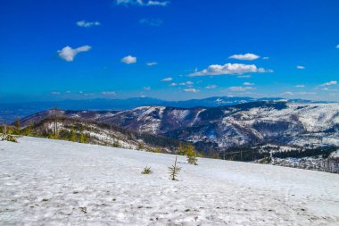 Malinowska Skala 'ya tırmanmak, ciyaklamak, dağlarda kar yağışı, kaygan rota, Polonya