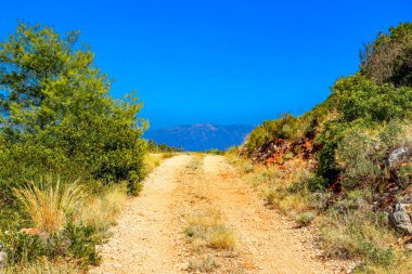 Hvar adasında bisiklet gezisi, panorama, Jelsa yakınlarında vahşi plajlar, tatil için ideal bir yer.