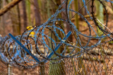 Gdynia kıyısındaki ormandaki ateş çukurları, askeri anıtlar, topçu mevzileri, Birinci Dünya Savaşı 'ndan kalma tarihi yerler.