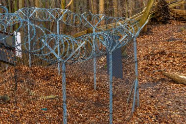 Gdynia kıyısındaki ormandaki ateş çukurları, askeri anıtlar, topçu mevzileri, Birinci Dünya Savaşı 'ndan kalma tarihi yerler.