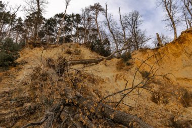 Gdynia Orlowo, sakin Baltık Denizi, kumlu yüksek Orlowo Uçurumu